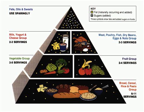 The Food Guide Pyramid was a recognizable nutrition tool that was introduced by the USDA in 1992. It was shaped like a pyramid to suggest that a person should eat more foods from the bottom of the pyramid and fewer foods and beverages from the top of the pyramid. The Food Guide Pyramid displayed proportionality and variety in each of five ...